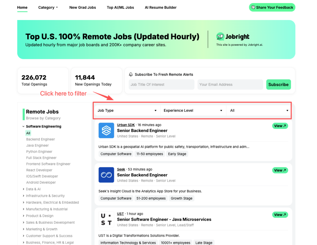 Job board interface displaying filter options to search for positions including remote jobs texas by experience level.